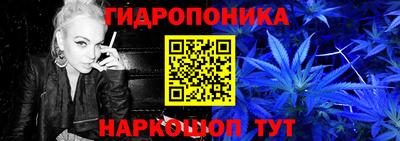 гашик Ливны