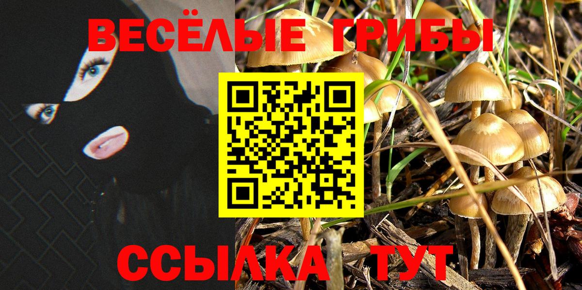 Псилоцибиновые грибы прущие грибы Грозный