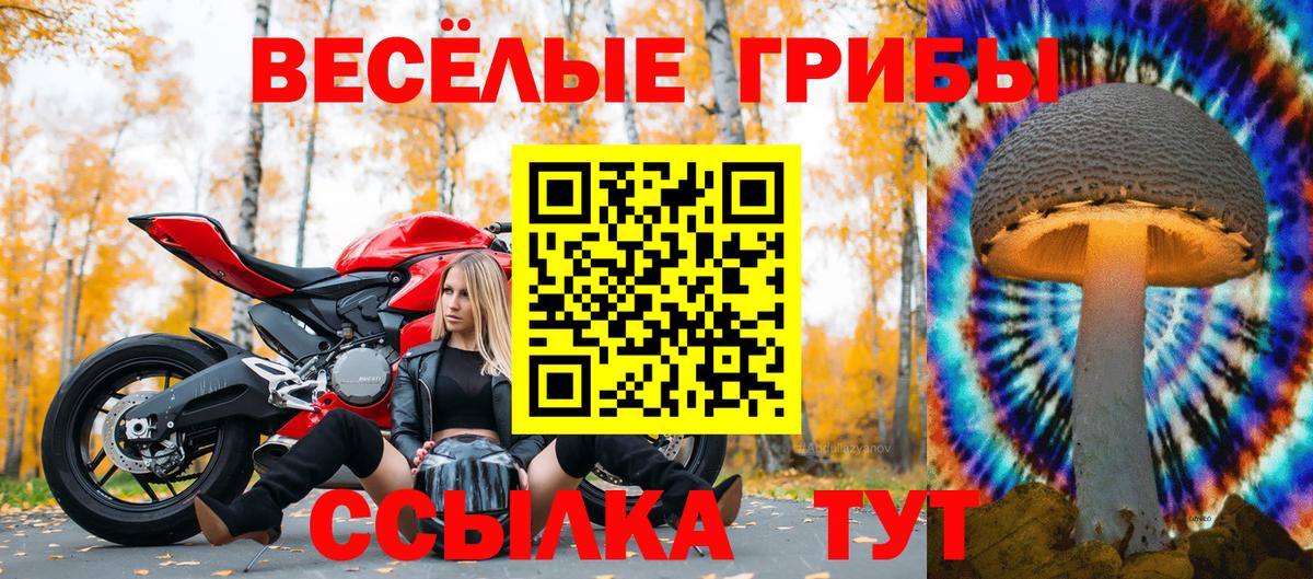 Псилоцибиновые грибы Psilocybine cubensis  Вход с VPN  Грозный 