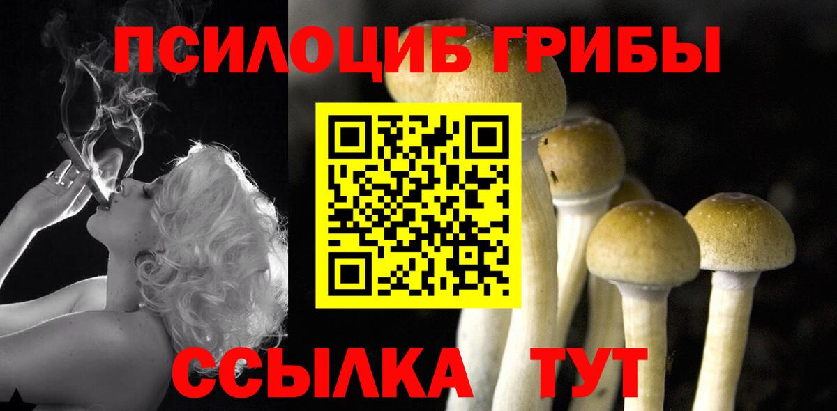 Меф мяу мяу Грозный